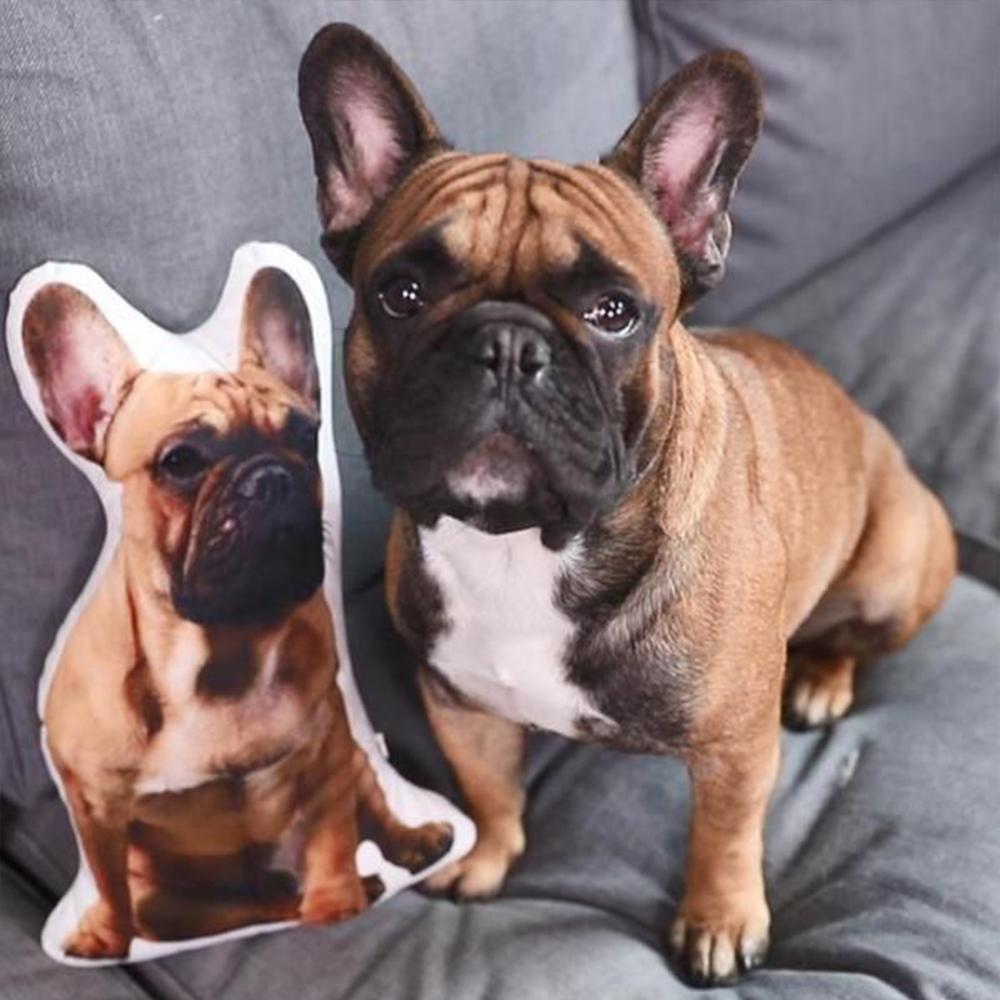 Ihr Yet on a Pillow Fotokissen in Haustierform Personalisierte Geschenke für Haustierbesitzer