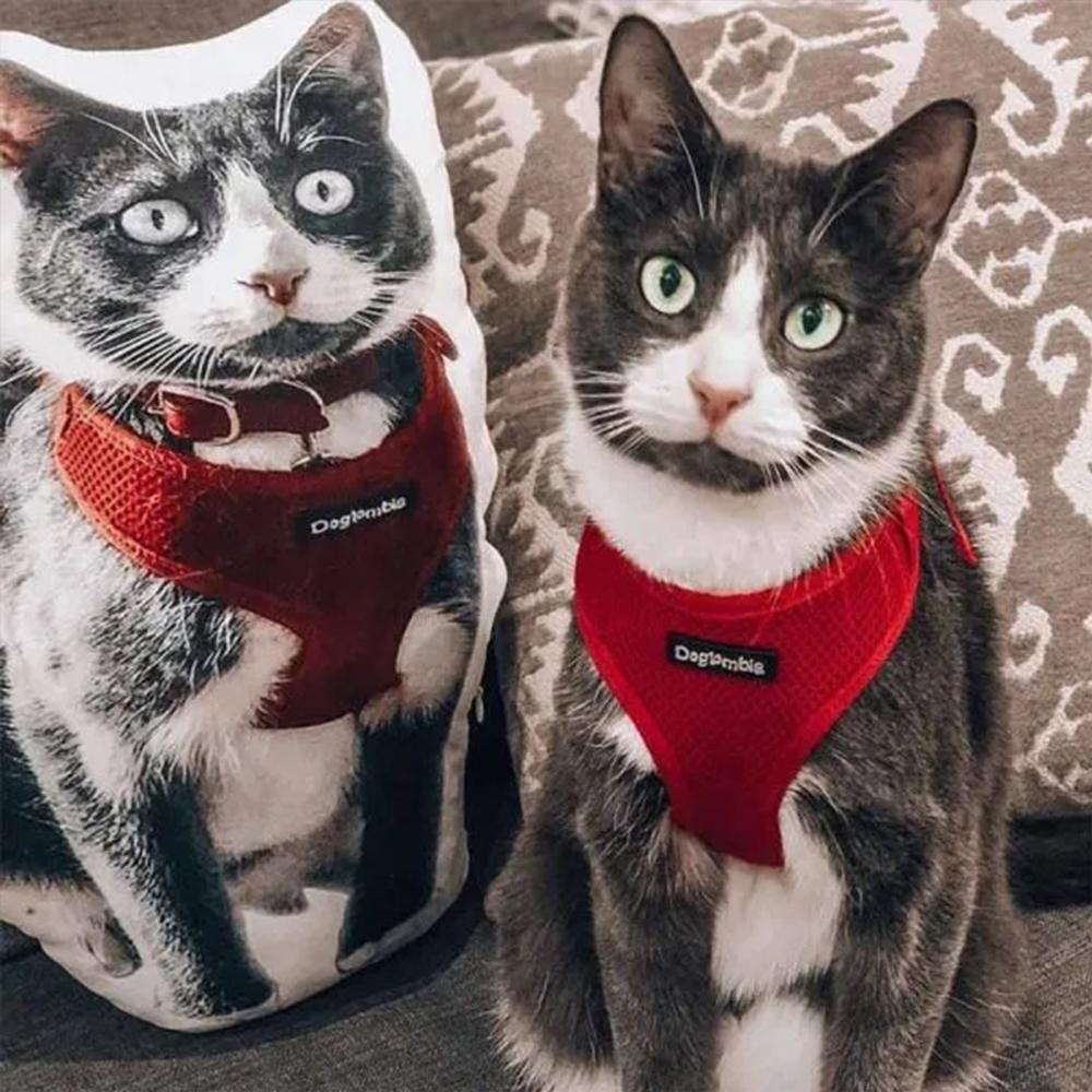 Benutzerdefinierte Katzenkissen Fotokissen von Haustieren Geschenke für Tierliebhaber