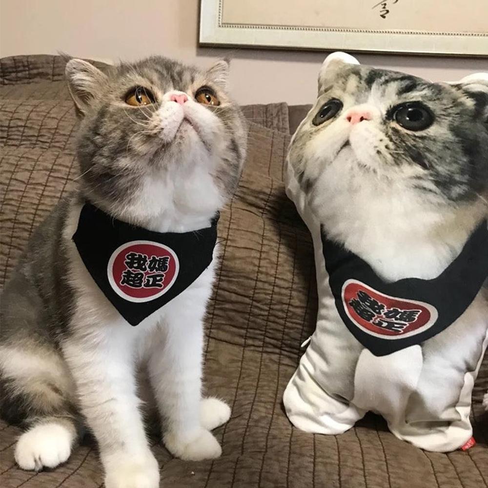 Kundenspezifisches Kissen in Katzenform Katzengesichtskissen Geschenke für Tierliebhaber