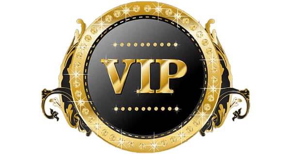 VIP-Service +5.99 Priorität zu produzieren und zu versenden