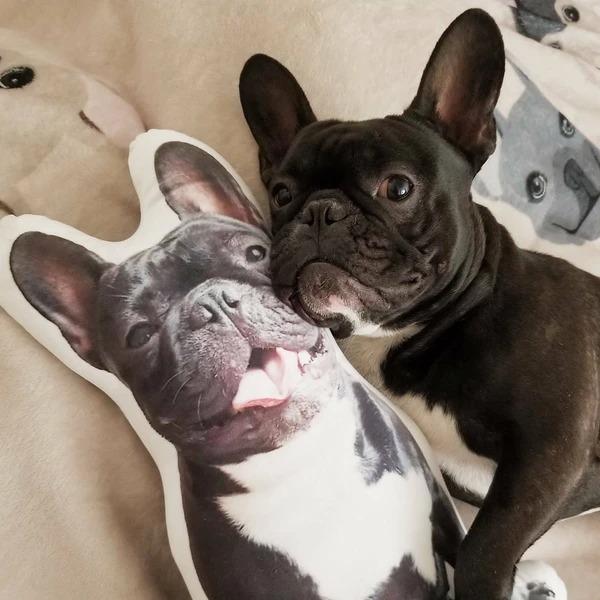 Individuell geformte Hundekissen Fotokissen von Haustieren Hundeliebhaber Geschenke