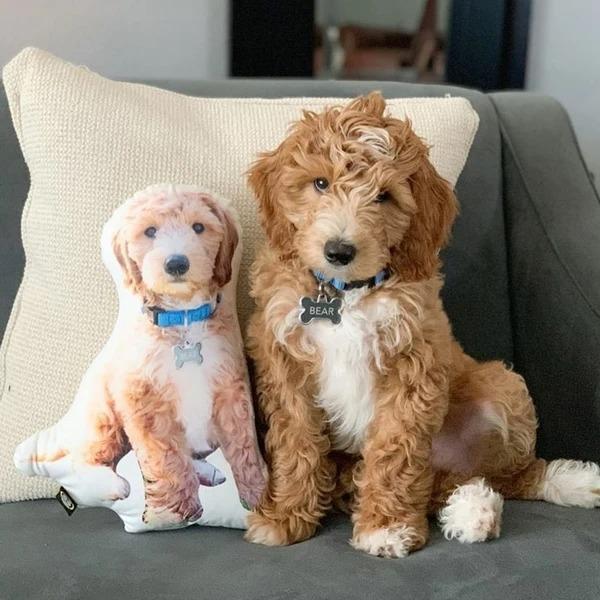 Personalisierte Hundeliebhaber Geschenke Hundegesichtskissen Individuell geformtes Hundekissen