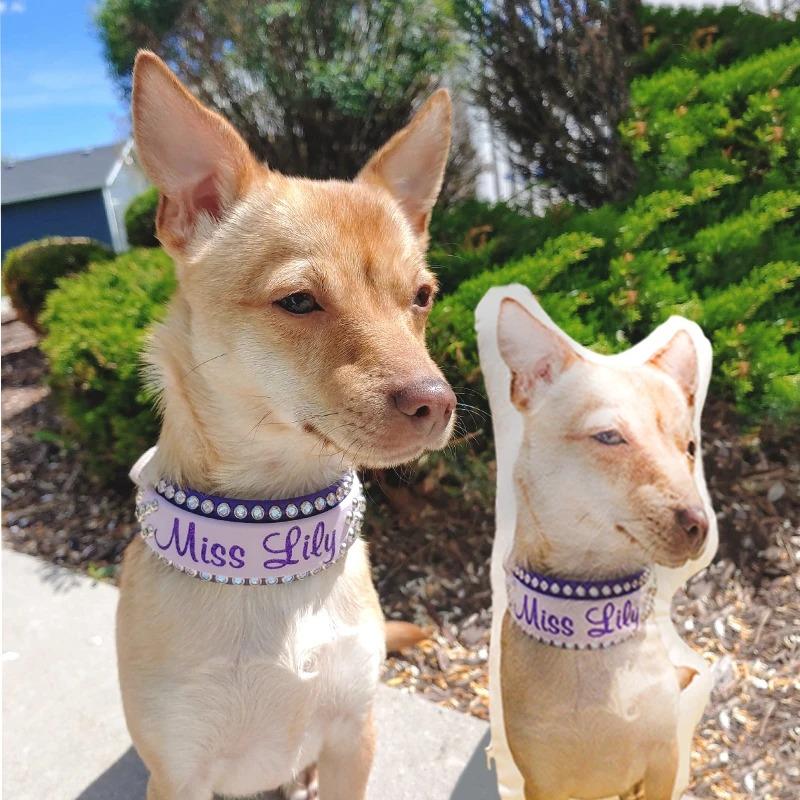 Einzigartige Hundeliebhaber-Geschenke Hundeförmiges Kissen Individuelles Haustier-Porträt-Kissen