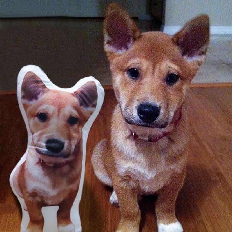 Haustierförmiges Fotokissen Personalisierte Hundekissen Mein Haustierkissen